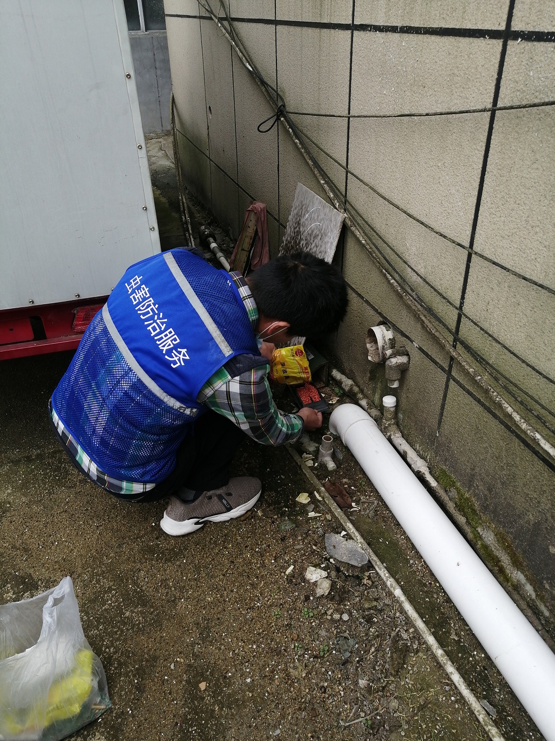 酒店外环境灭鼠服务